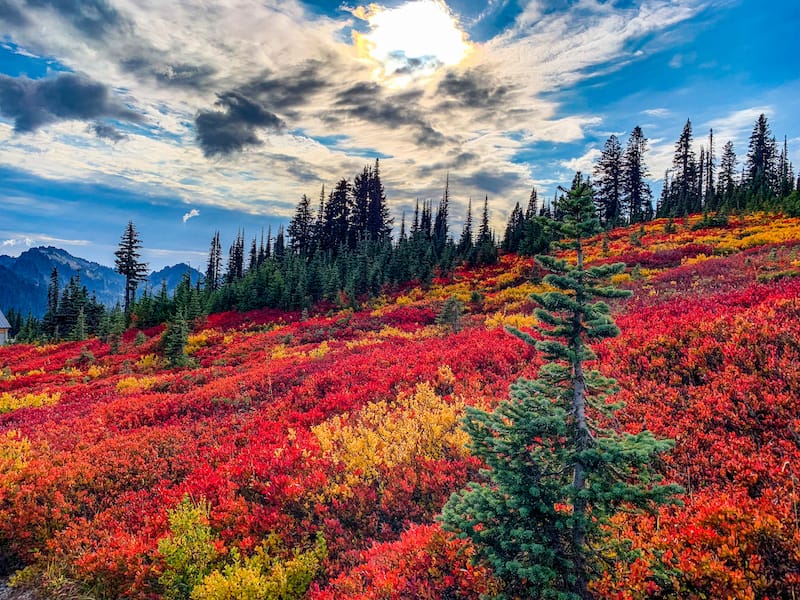 Mt. Rainier National Park in September