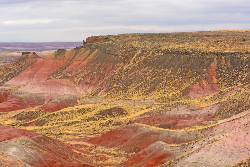 Petrified Forest National Park in September