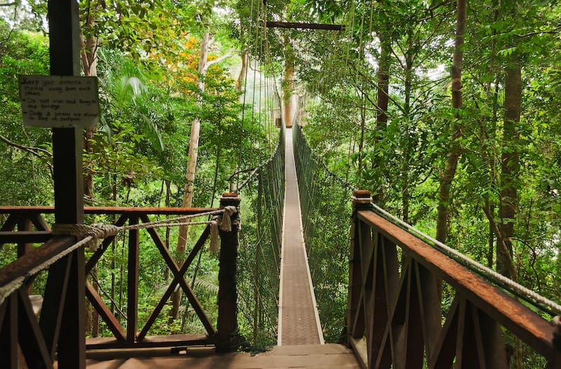 Taman Negara National Park