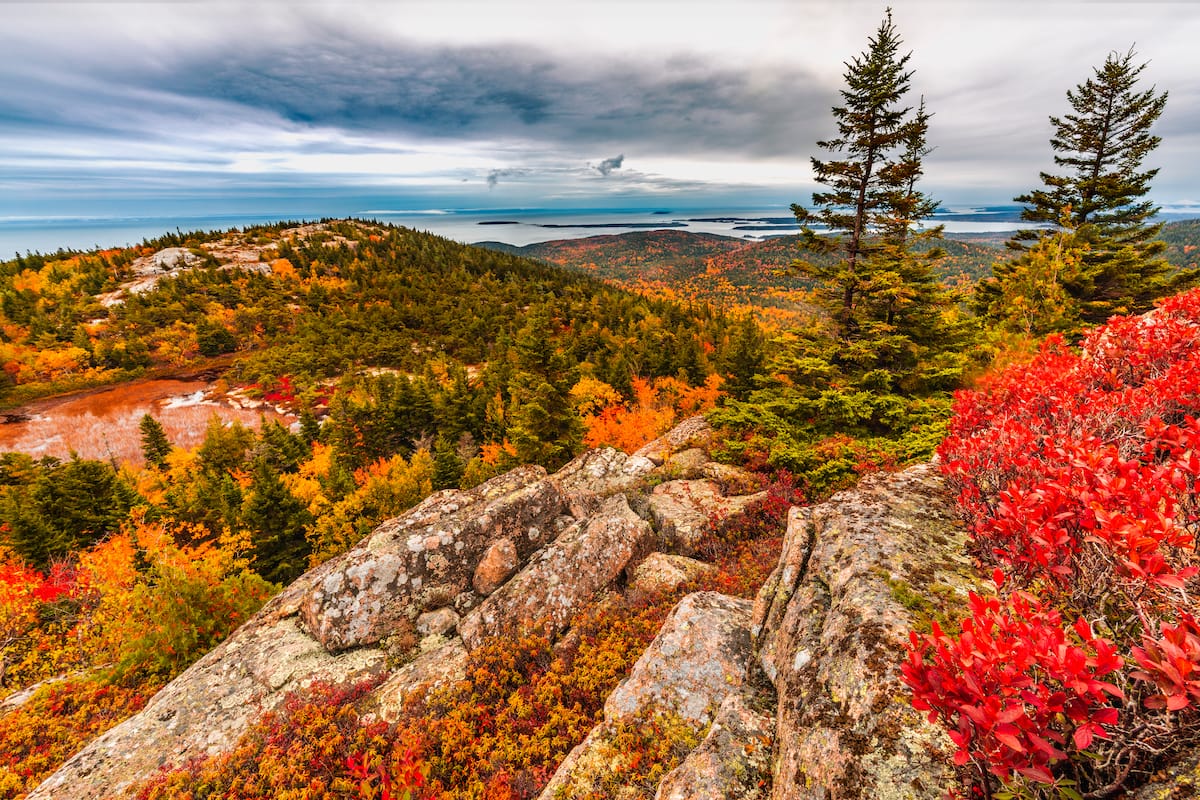 Acadia in October