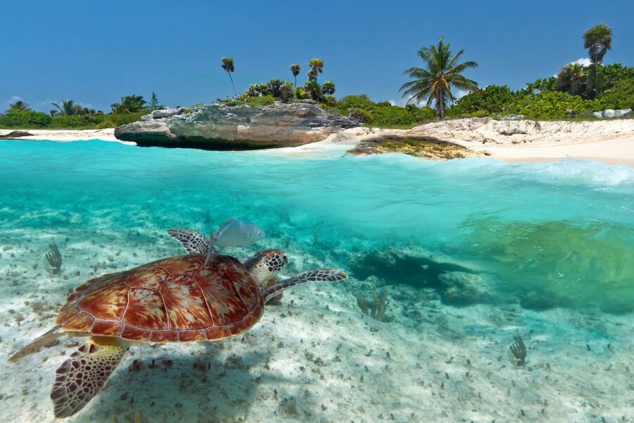 Best Yucatan beaches to explore