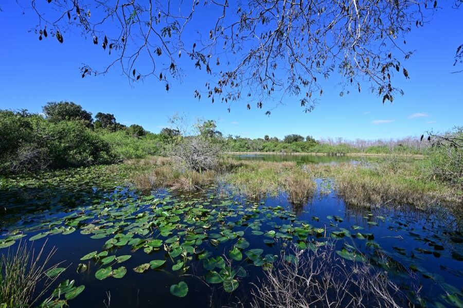 Big Cypress National Preserve