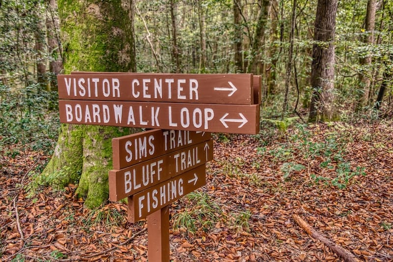 Congaree National Park in November