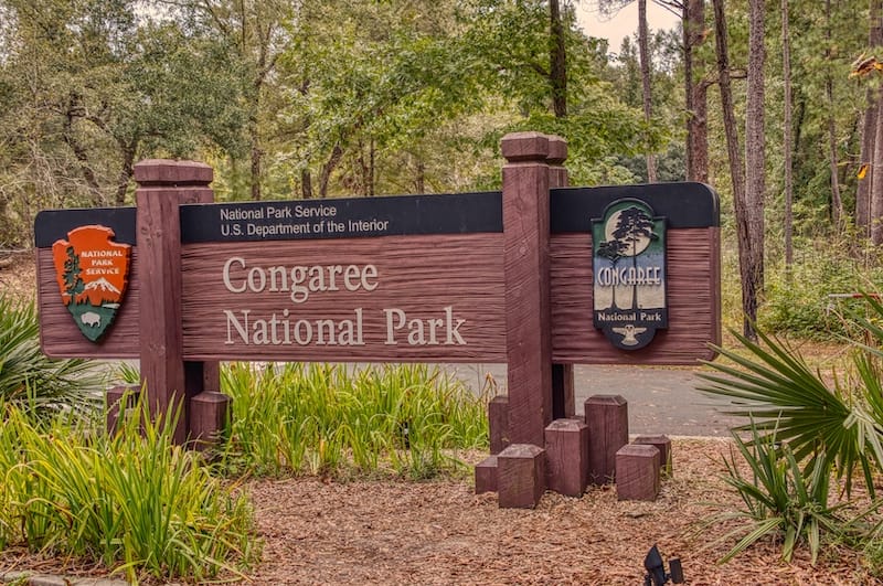 Congaree in mid-October - Jacob Boomsma - Shutterstock
