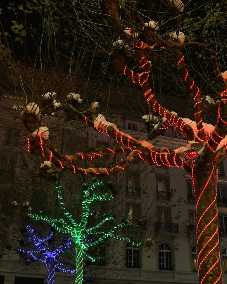 21 Festive Things to Do in Geneva in Winter (+ Seasonal Tips!)