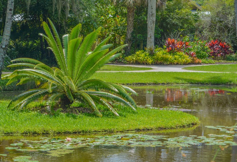 McKee Botanical Gardens is one of the best places to visit near Miami