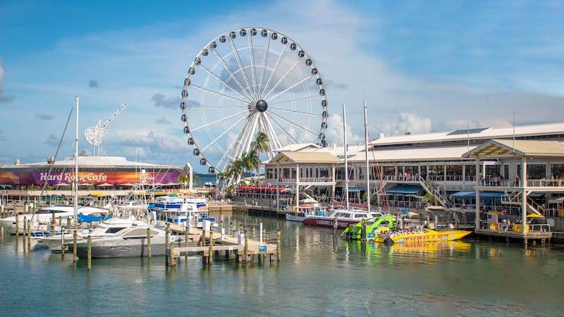 Miami Observation Wheel - VIAVAL TOURS - Shutterstock