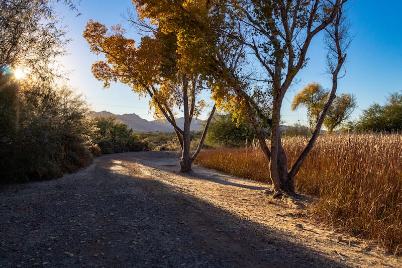 November in Tucson