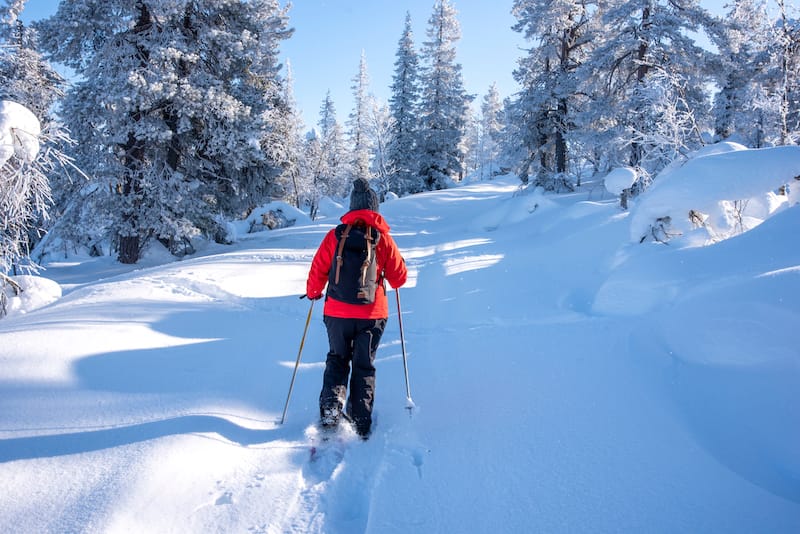 Rovaniemi snowshoeing adventure