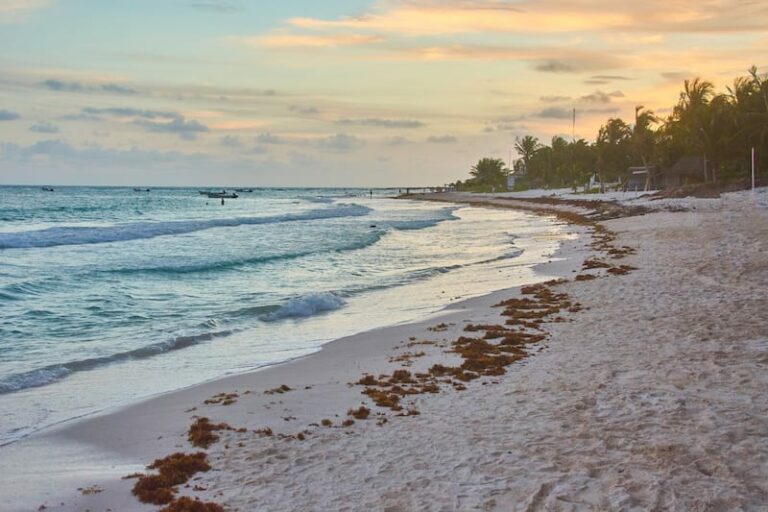 18 Beautiful Yucatan Beaches (for Your Mexico Itinerary!)