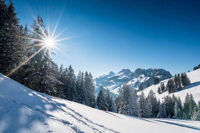 Bernese Alps