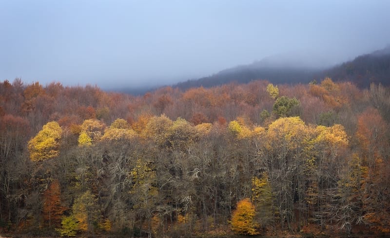 Early winter views of Natural Park of Montseny from above