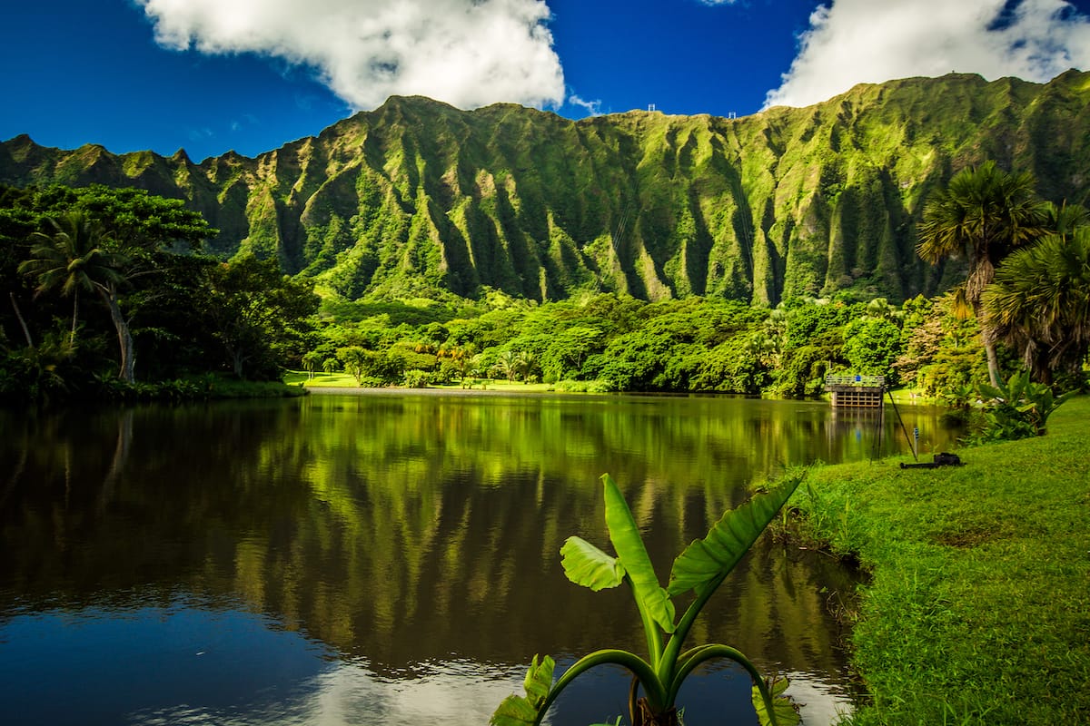 Oahu in winter