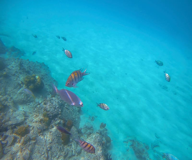 Santa Maria Bay is one of the best beaches for snorkeling on St. Thomas