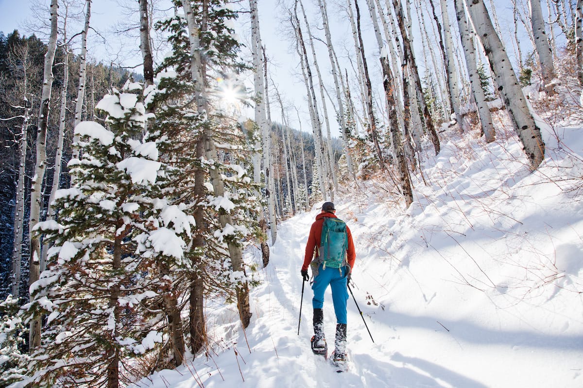 Snowshoeing in the Alps