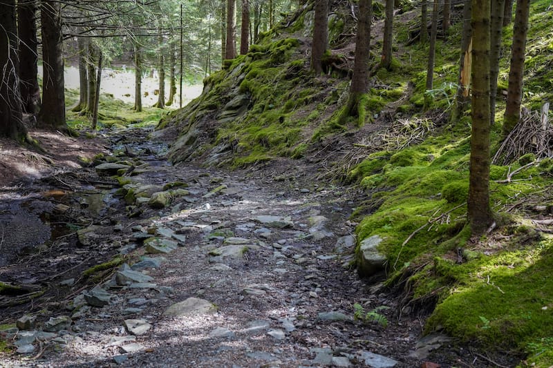 There are many places to hike in Bergen