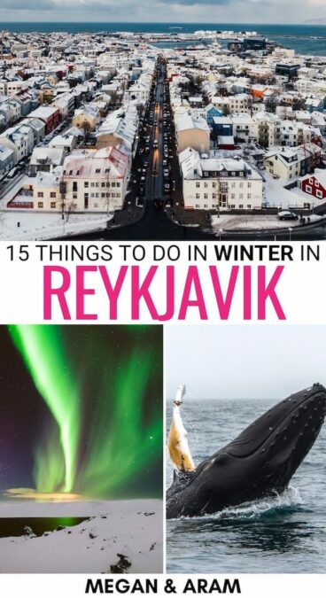 Looking for the best things to do in Reykjavik in winter (beyond just the northern lights)? This guide details some top activities to enjoy winter in Reykjavik! | Reykjavik winter trip | Winter trip to Reykjavik | What to do in Reykjavik | Iceland in winter | Winter in Iceland | Winter excursions from Reykjavik | Reykjavik in November | Reykjavik in December | Reykjavik in January | Reykjavik in February | Reykjavik in March | Northern lights in Reykjavik | Whale watching Reykjavik | Winter tours from Reykjavik