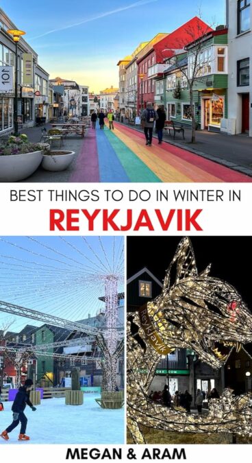 Looking for the best things to do in Reykjavik in winter (beyond just the northern lights)? This guide details some top activities to enjoy winter in Reykjavik! | Reykjavik winter trip | Winter trip to Reykjavik | What to do in Reykjavik | Iceland in winter | Winter in Iceland | Winter excursions from Reykjavik | Reykjavik in November | Reykjavik in December | Reykjavik in January | Reykjavik in February | Reykjavik in March | Northern lights in Reykjavik | Whale watching Reykjavik | Winter tours from Reykjavik