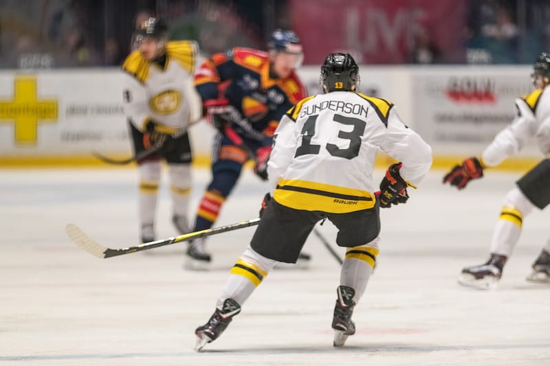 Watching ice hockey in Stockholm - Stefan Holm - Shutterstock