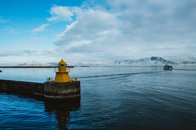 Whale watching from Reykjavik