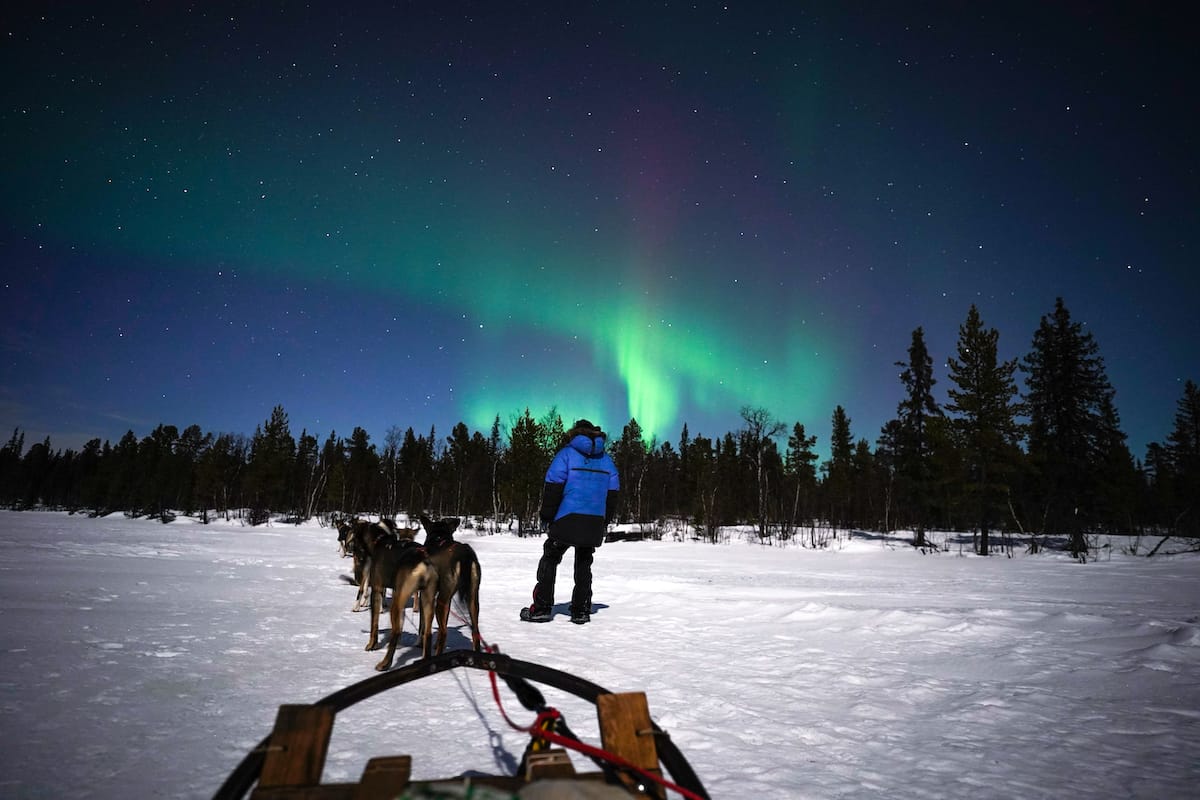 Watching the northern lights in the Arctic