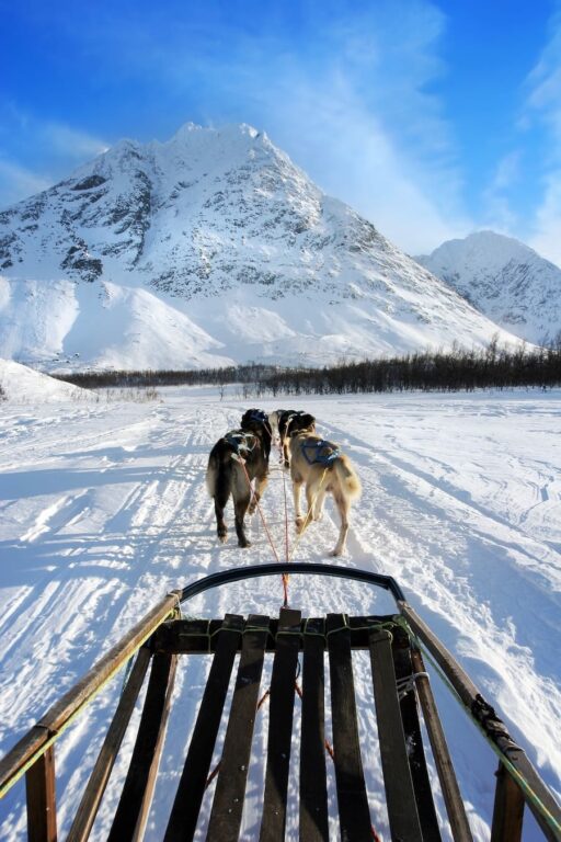 Dog sledding in Tromso, Norway