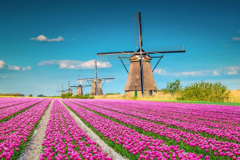 Kinderdijk is one of the most romantic villages in Europe