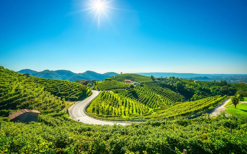 Nearby Prosecco Hills