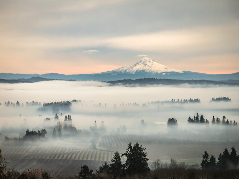 Oregon wine country in winter