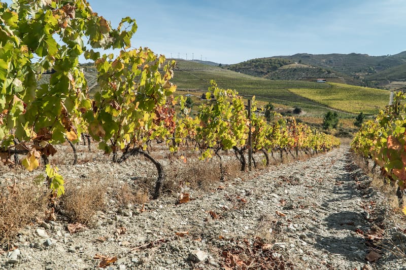 Douro Valley