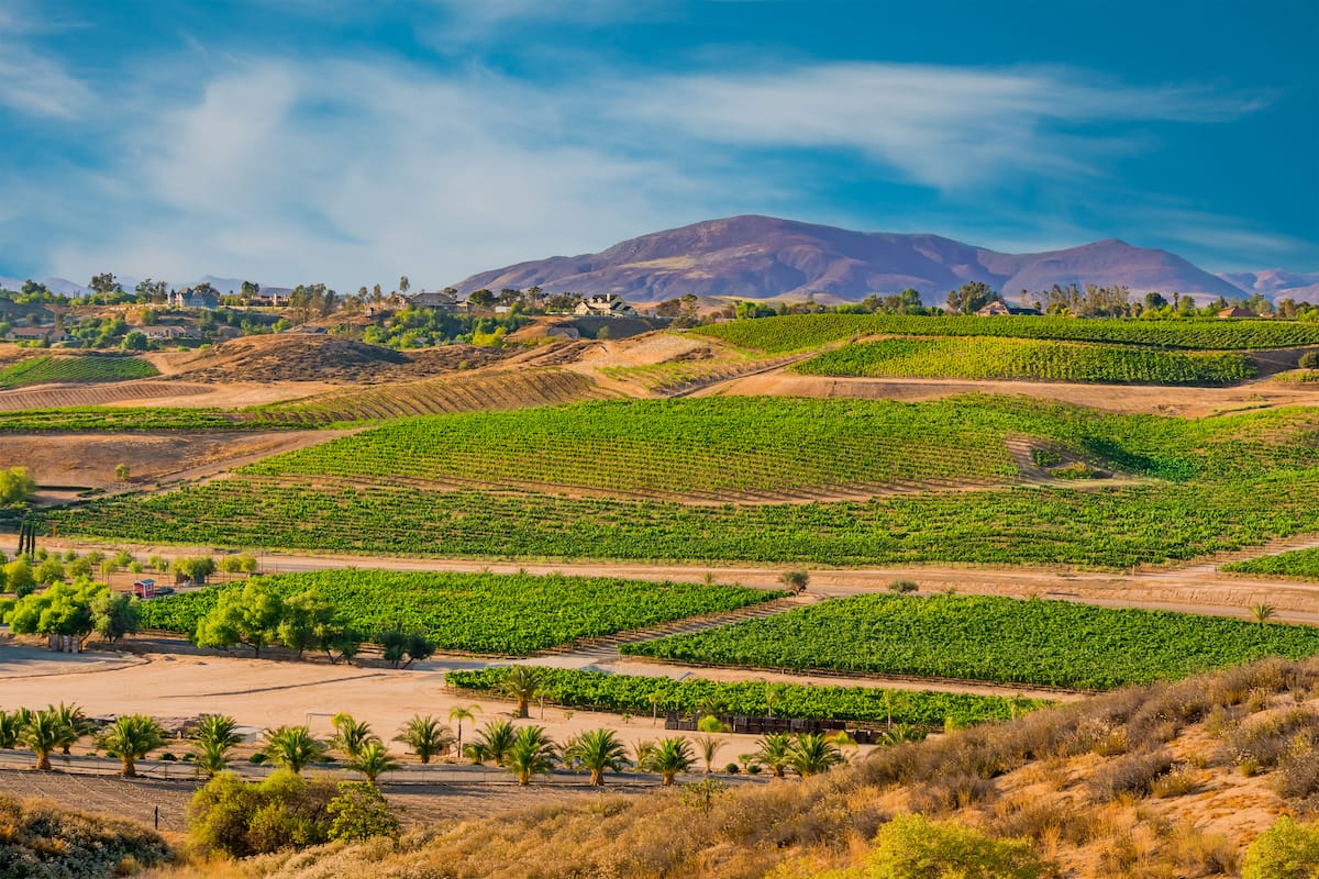 Temecula