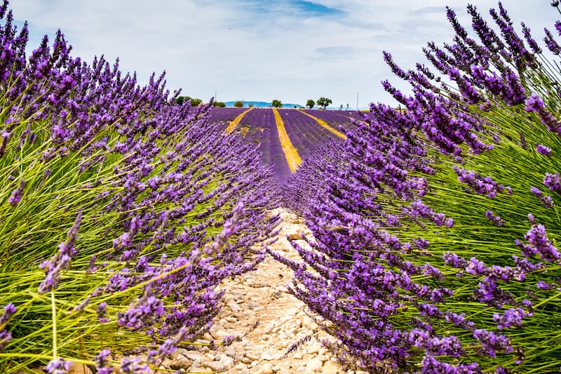 Aix-en-Provence