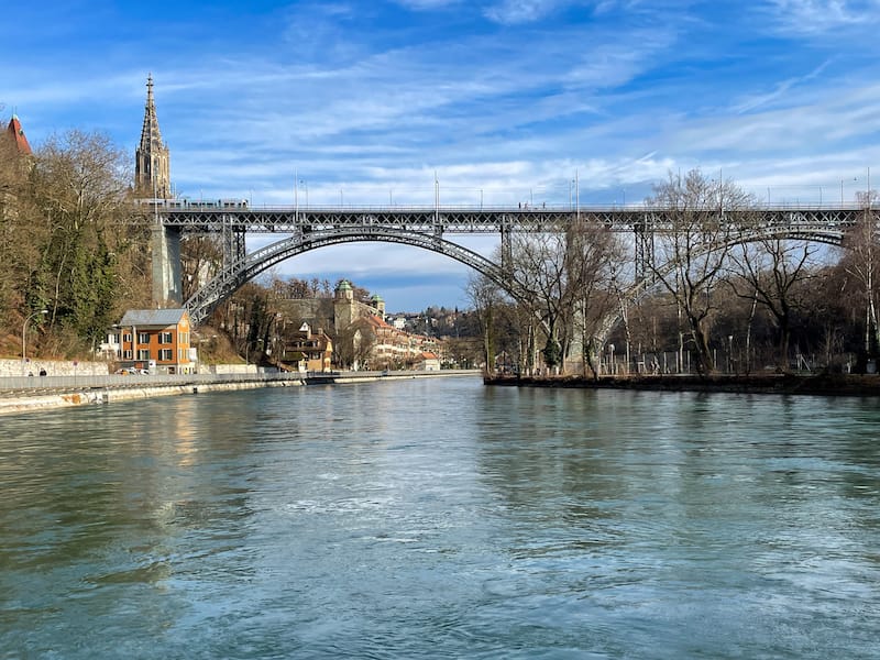 Wild Aare River