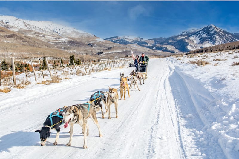 Dog sledding in Park City