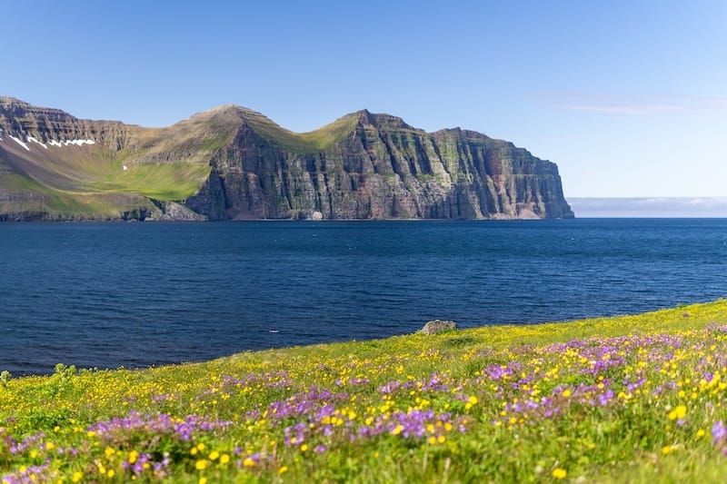 Hornstrandir Nature Reserve