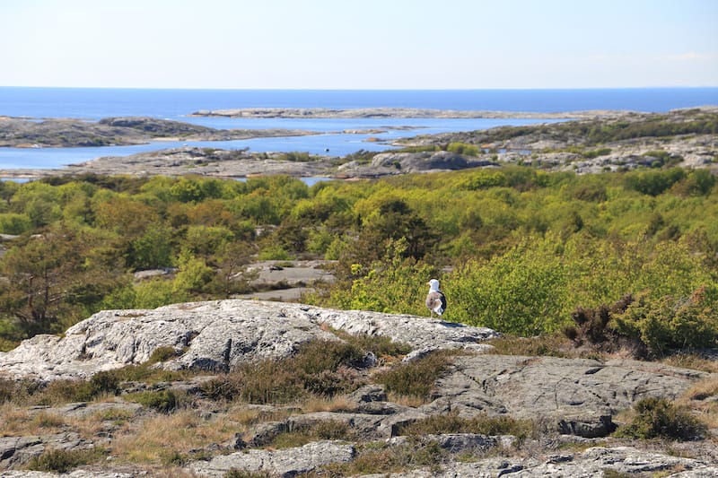 Kosterhavet National Park