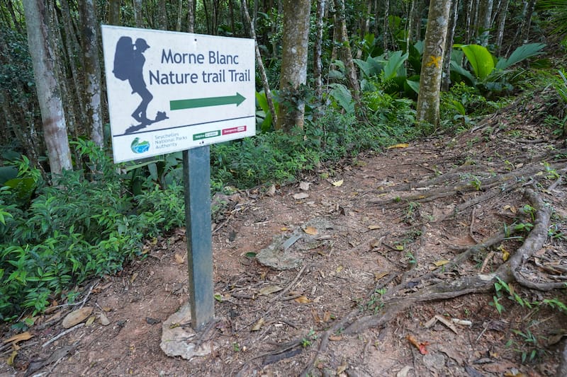 Morne Blanc Trail