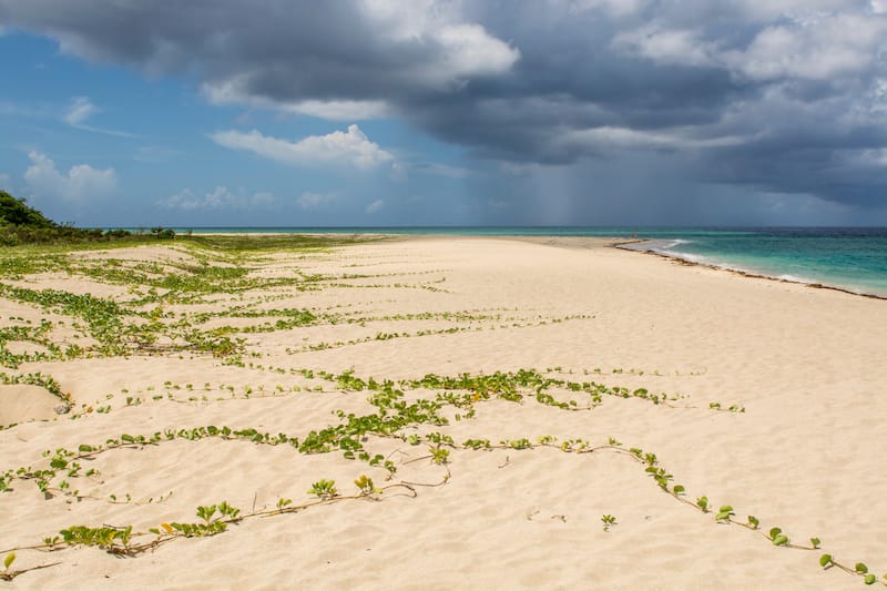 Sandy Point National Wildlife Refuge