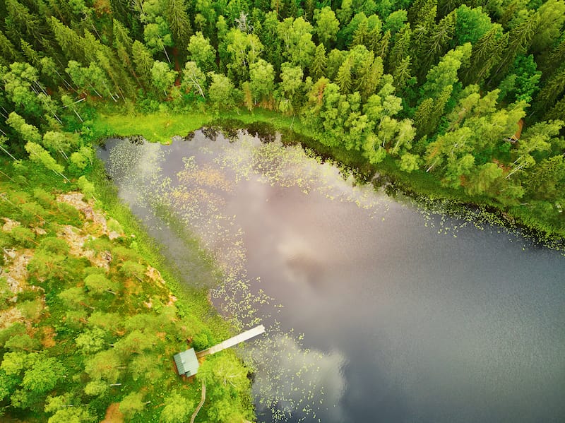 Sipoonkorpi National Park
