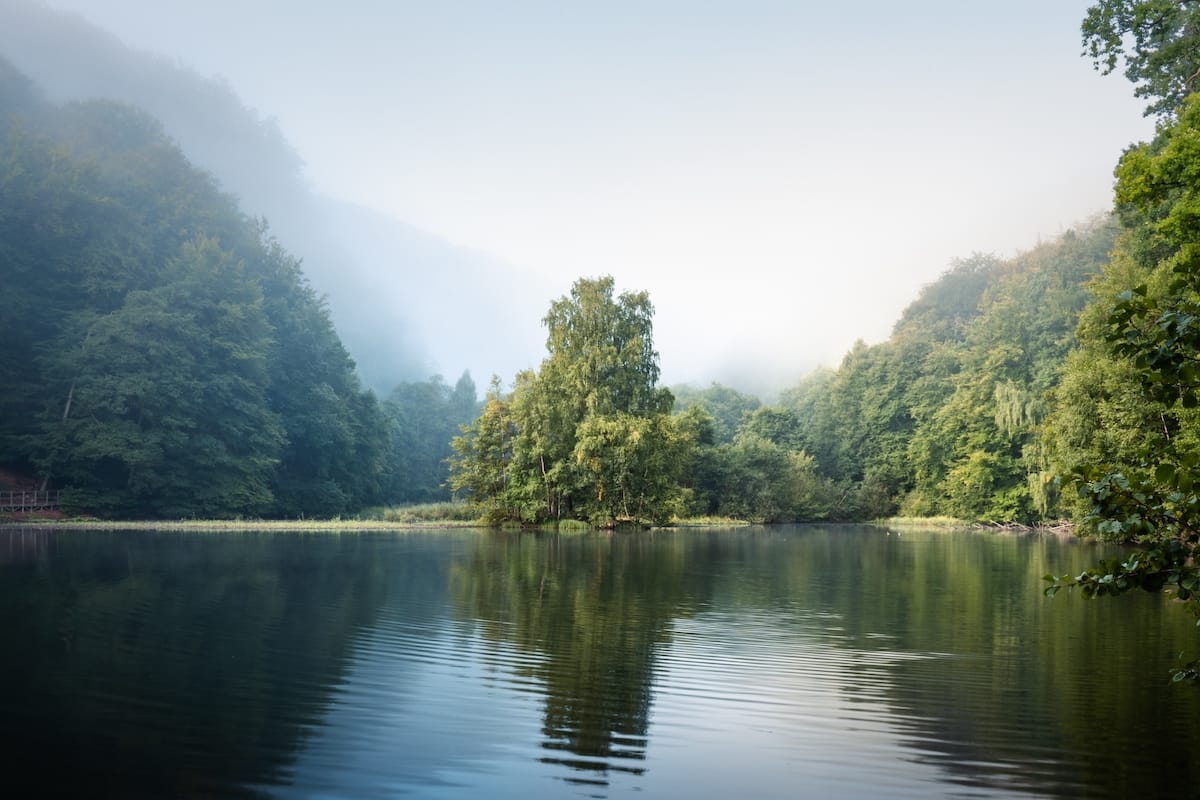 Söderåsens National Park 