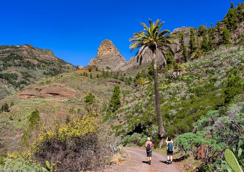 A day trip to La Gomera from Tenerife