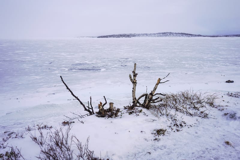 Views from an Abisko National Park hike