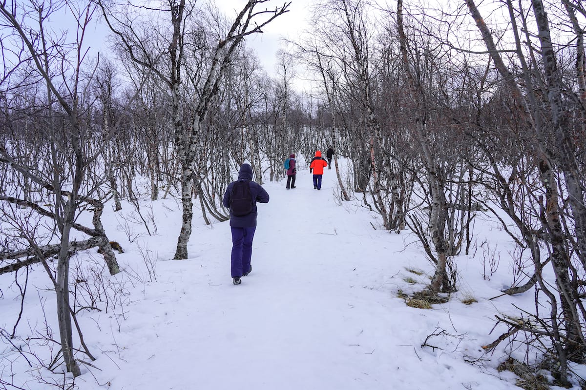 My Abisko hiking group