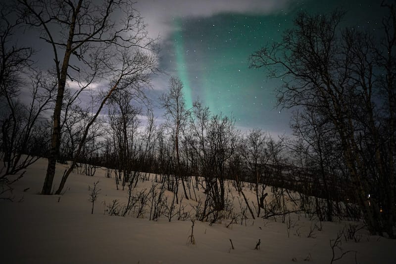 Abisko northern lights tour