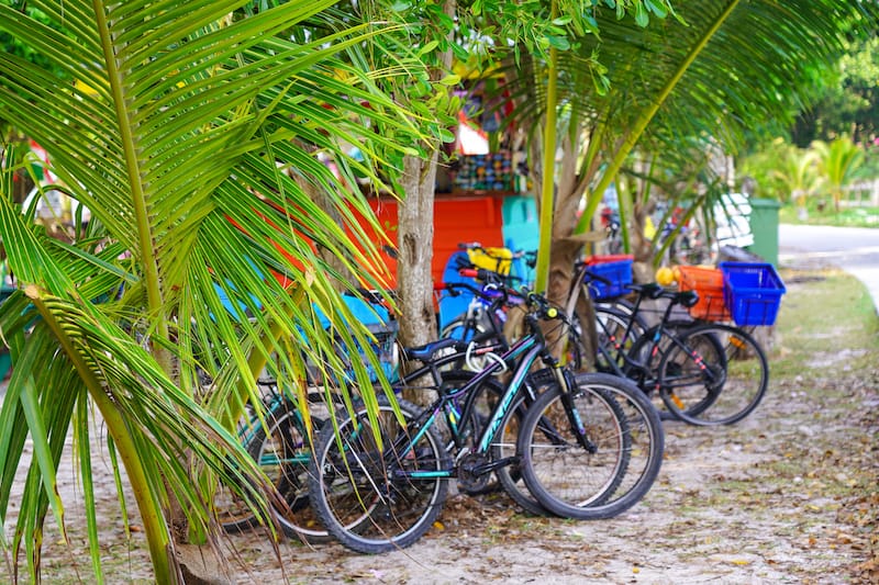 Bikes at L'Union Estate