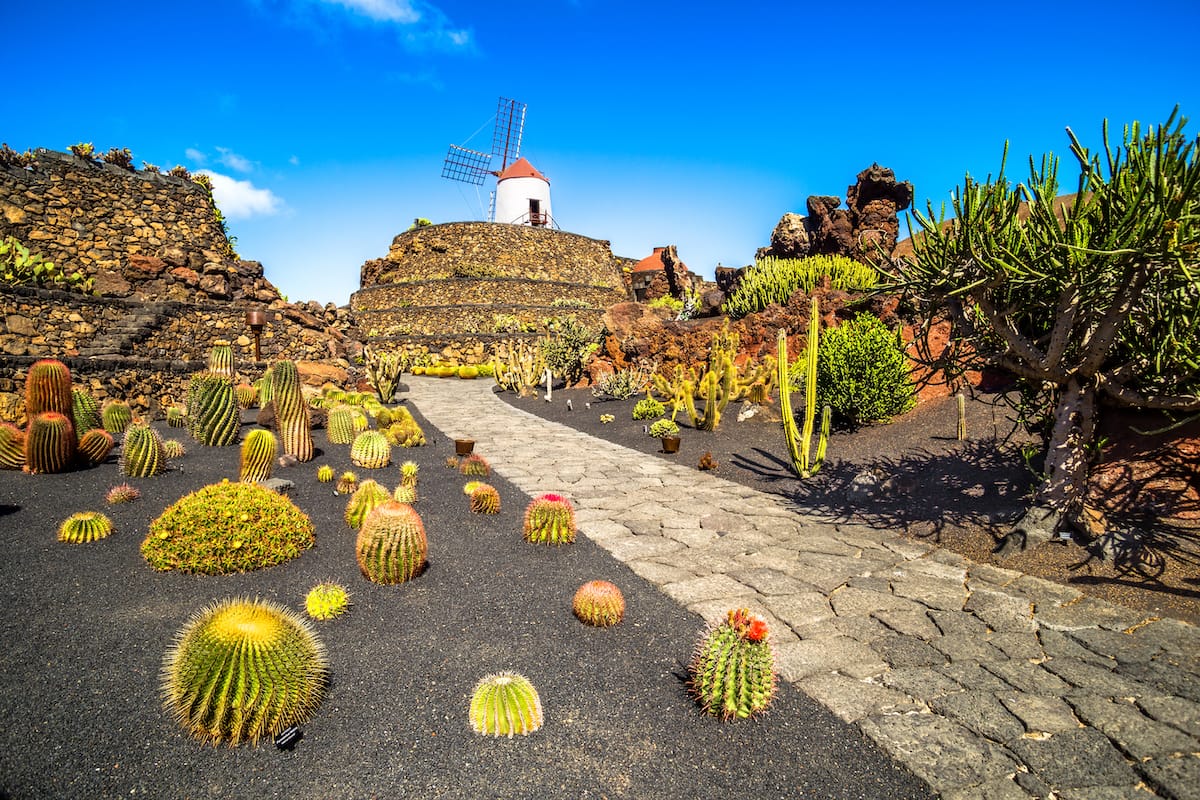 Cactus Garden on Lanzarote