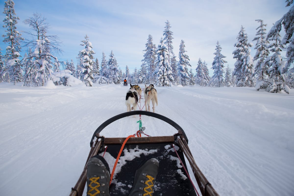 Dog sledding in Abisko