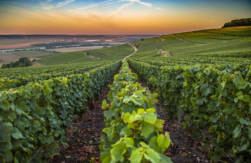 France's Champagne region