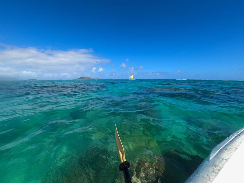 Mokes kayaking tour - on the water!