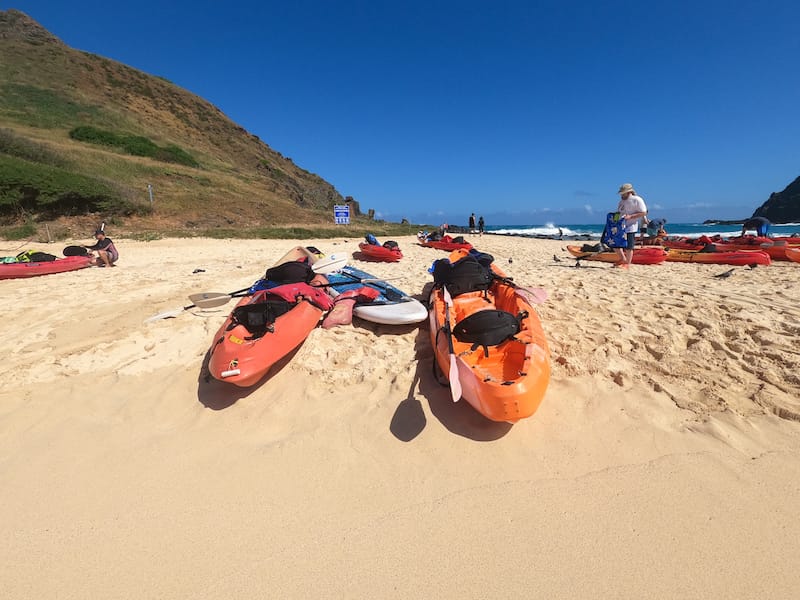 You can also rent a kayak and visit the Mokes yourself.